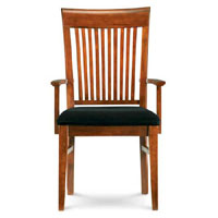 New Horizons Arm Chair