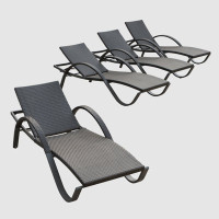 Fionnula Sun Lounger by Wildon Home