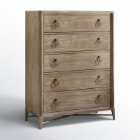 Regan 5 Drawer Chest by Birch Lane