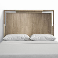 Regan Panel Headboard by Birch Lane