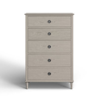 Dinora Tall Chest by Birch Lane