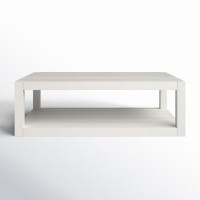 Rosalie Floor Shelf Coffee Table with Storage by Birch Lane