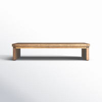 Nemo Sled Coffee Table by Birch Lane