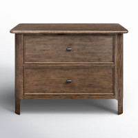 Nanette 2 - Drawer Solid Wood Nightstand in Brown by Birch Lane