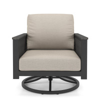 Townsend Outdoor Swivel Rocking Chair with Sunbrella Cushion by Birch Lane