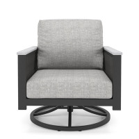 Townsend Outdoor Townsend Swivel Rocker Metal Chair with Cushion by Birch Lane