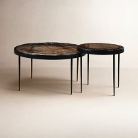 Carmen Glass Top Nesting Coffee Table by Birch Lane