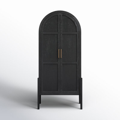 Cathay 2 - Door Accent Cabinet by Birch Lane