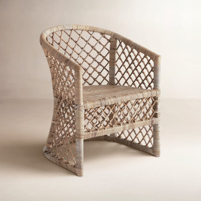 Britzy Chair by Birch Lane