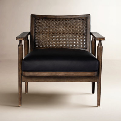 Anasia 30" W Armchair by Birch Lane