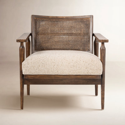 Anasia 30" W Armchair by Birch Lane