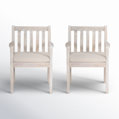 Amina Dining Armchair (Set of 2) by Joss and Main