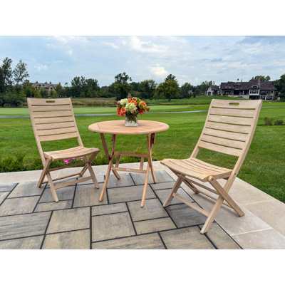 3 Pc. Antique Wash Eucalyptus Folding Bistro Set by Birch Lane